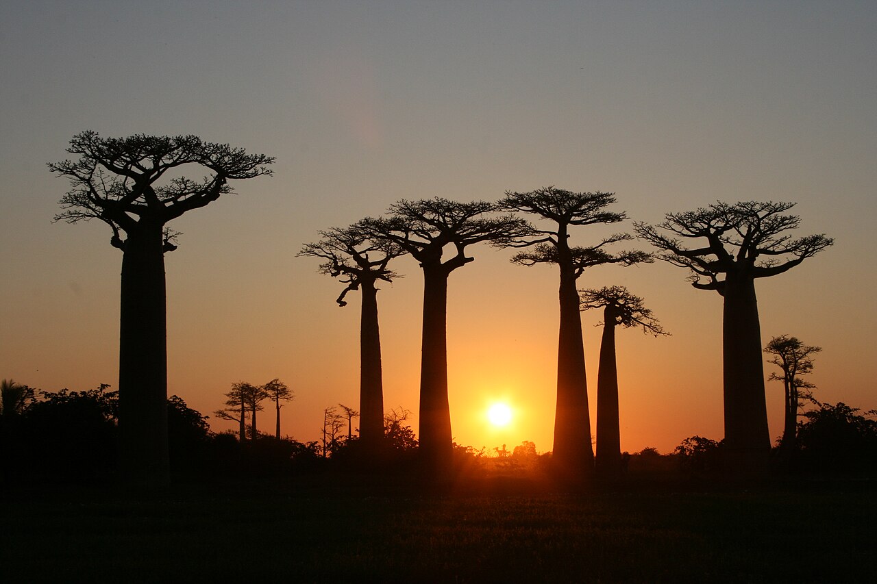 Madagascar